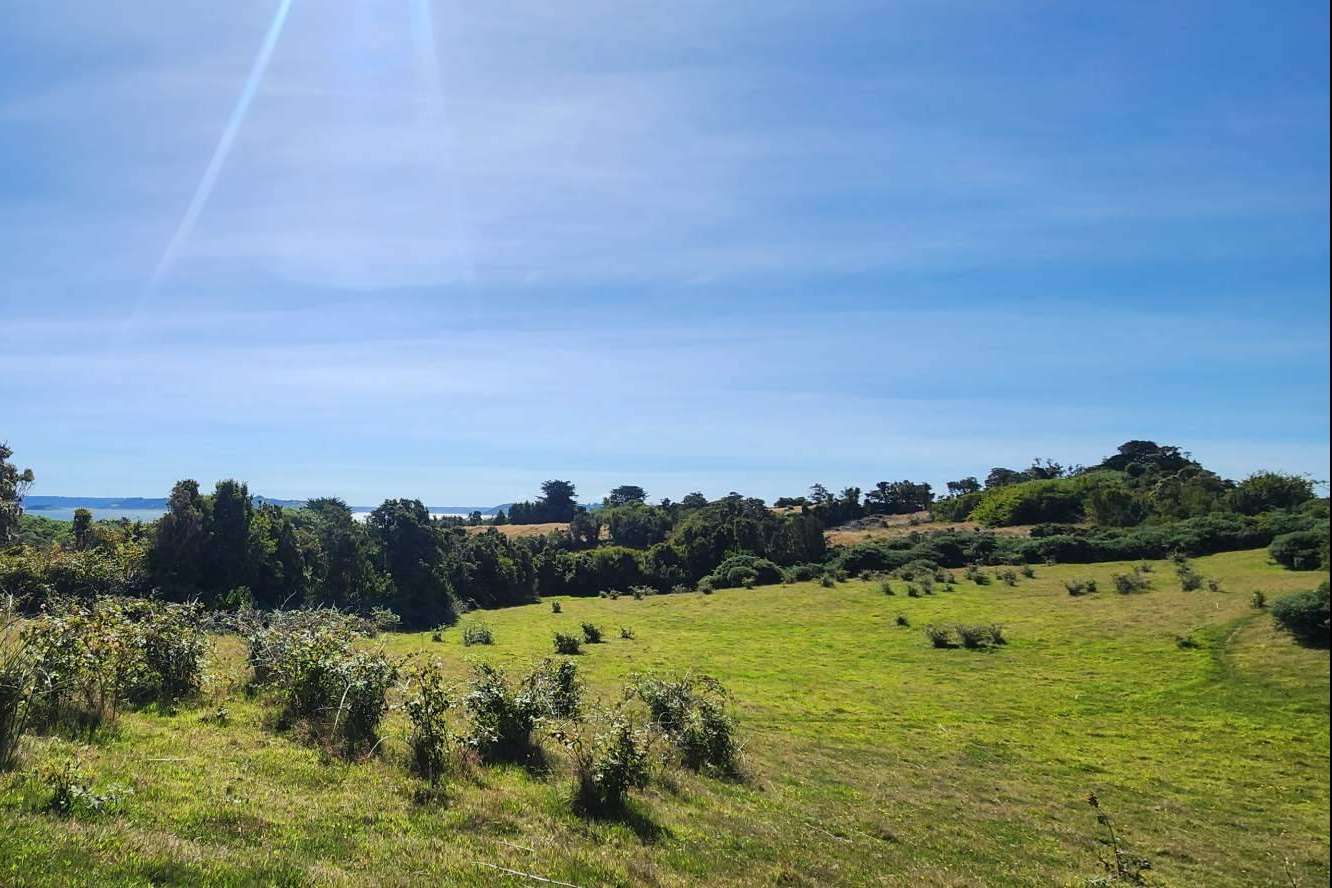 Comprar una parcela en el sur de Chile, una inversión segura y rentable