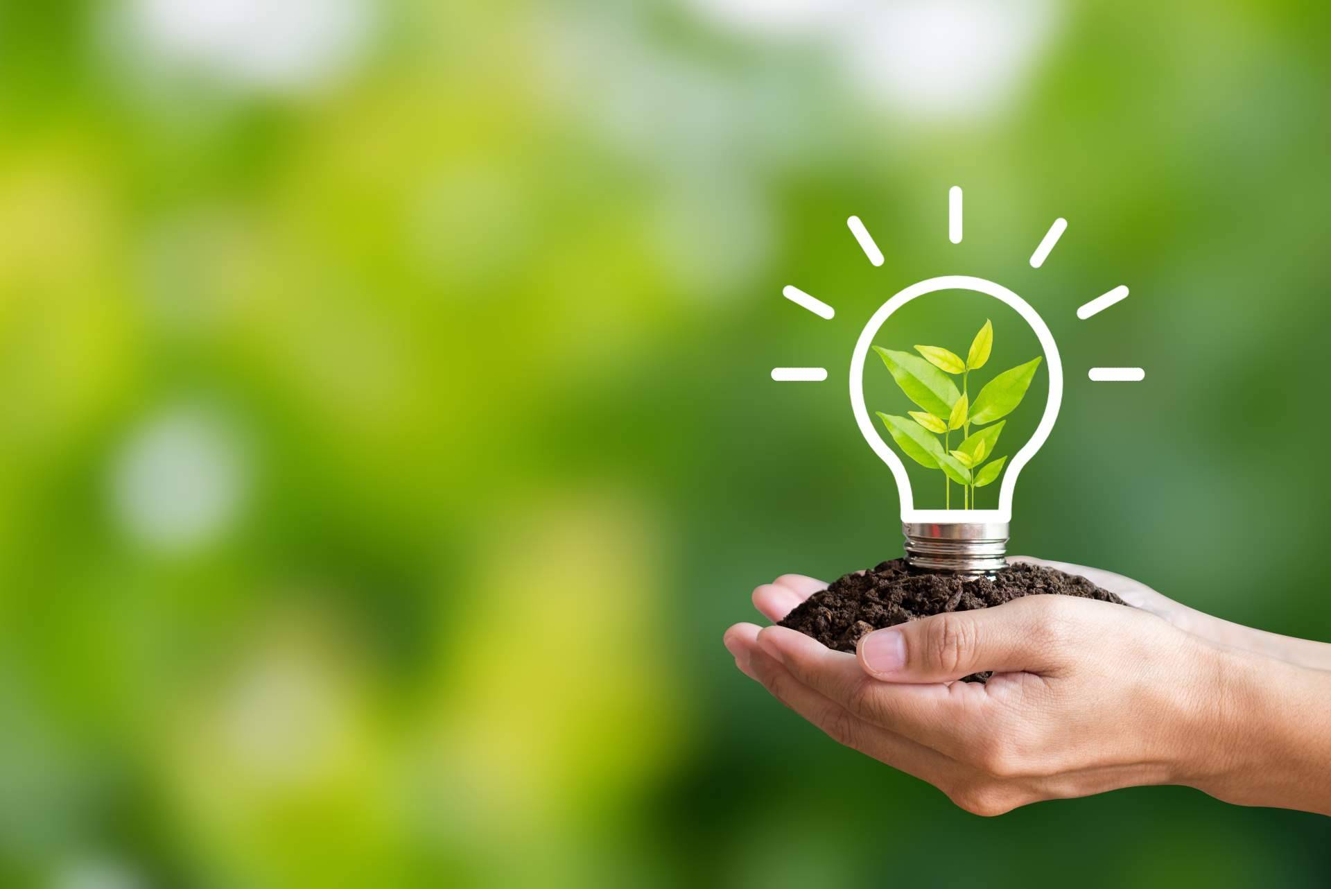 Asesoramiento energético gratuito directo en factura, de la mano de los profesionales de AhorraentuLuz