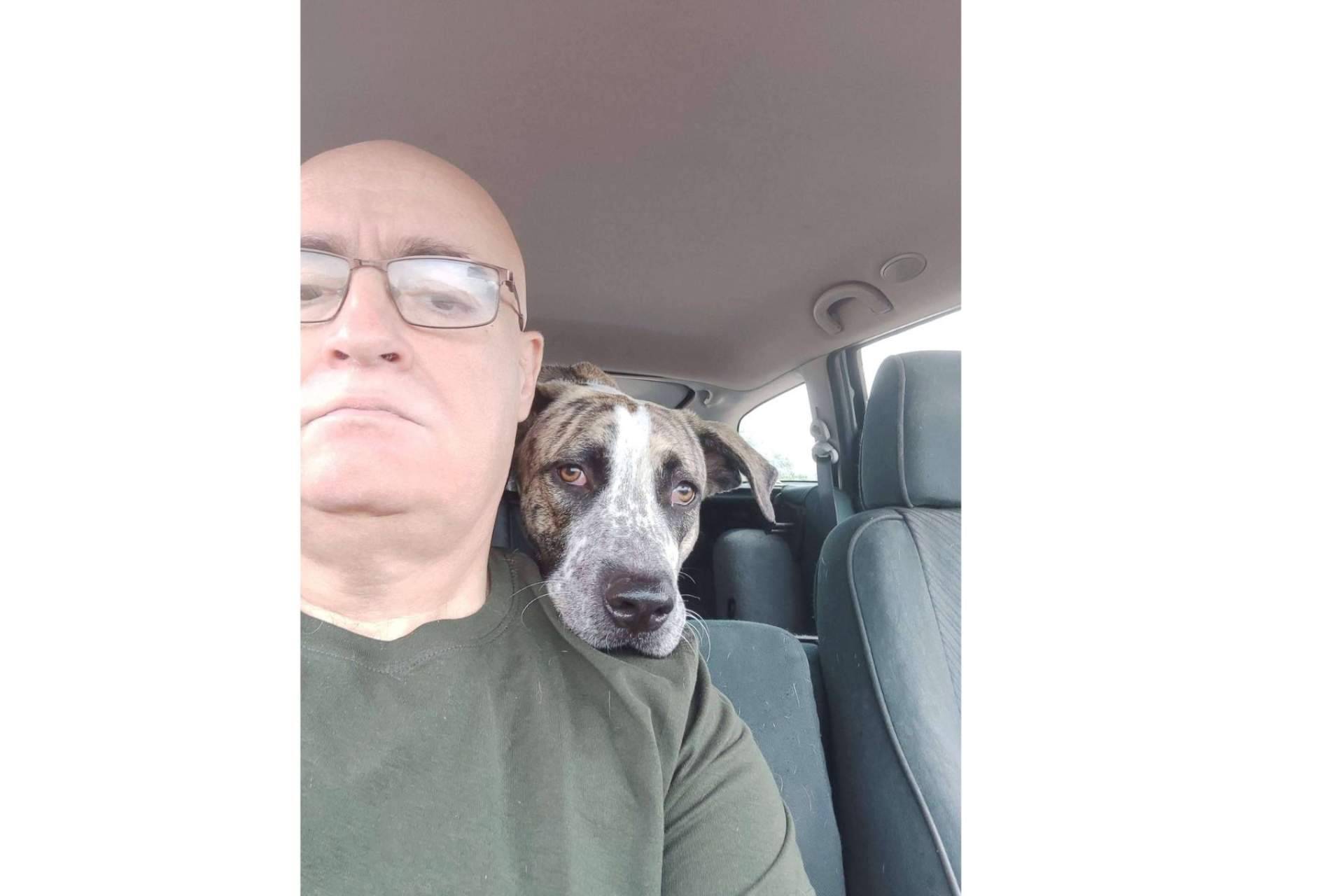 Servicios de transporte de mascotas con Chofer Mascota