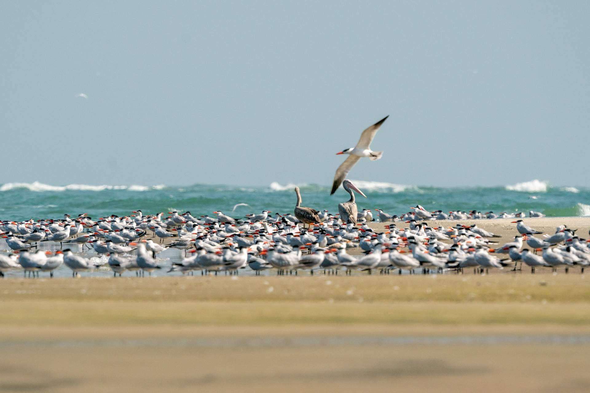 TheAfrican Experiences y la majestuosidad del Archipiélago de Bijagós en Guinea Bissau