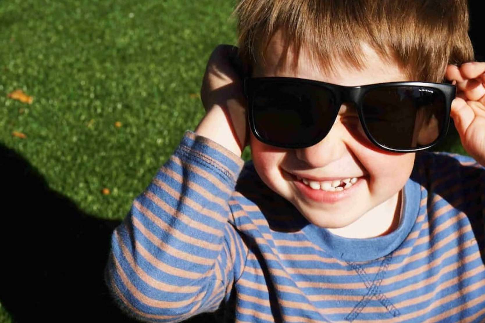 ¿Por qué optar por el césped artificial para mascotas? Las soluciones de Albergrass