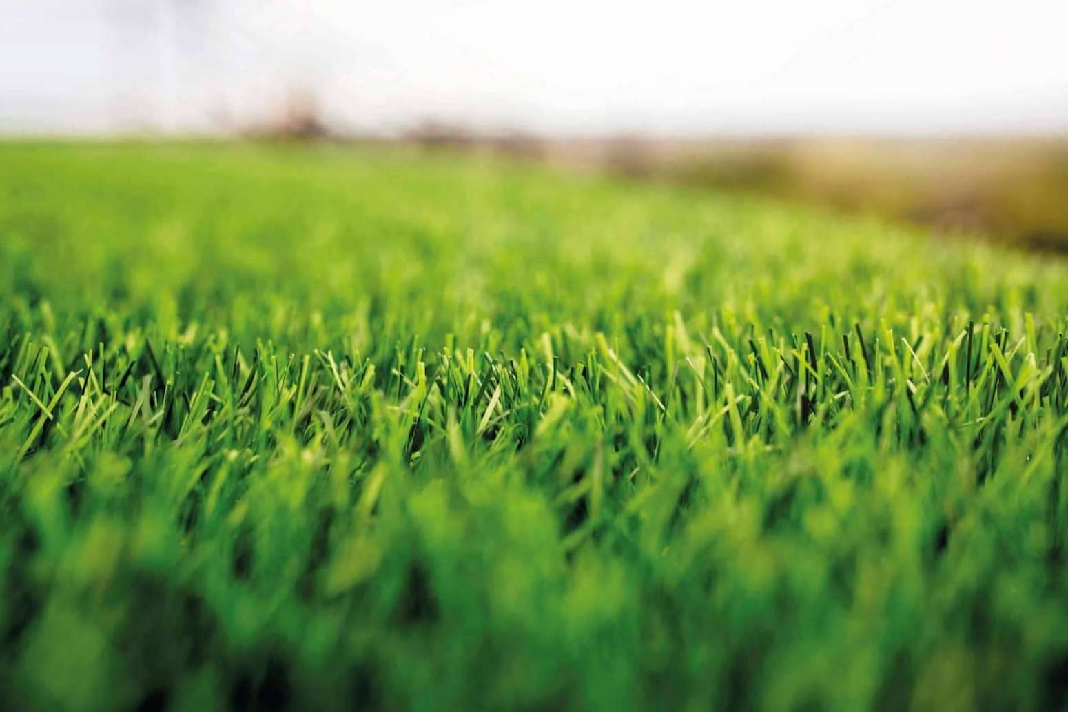 La alta tecnología que incorpora el césped artificial de Albergrass