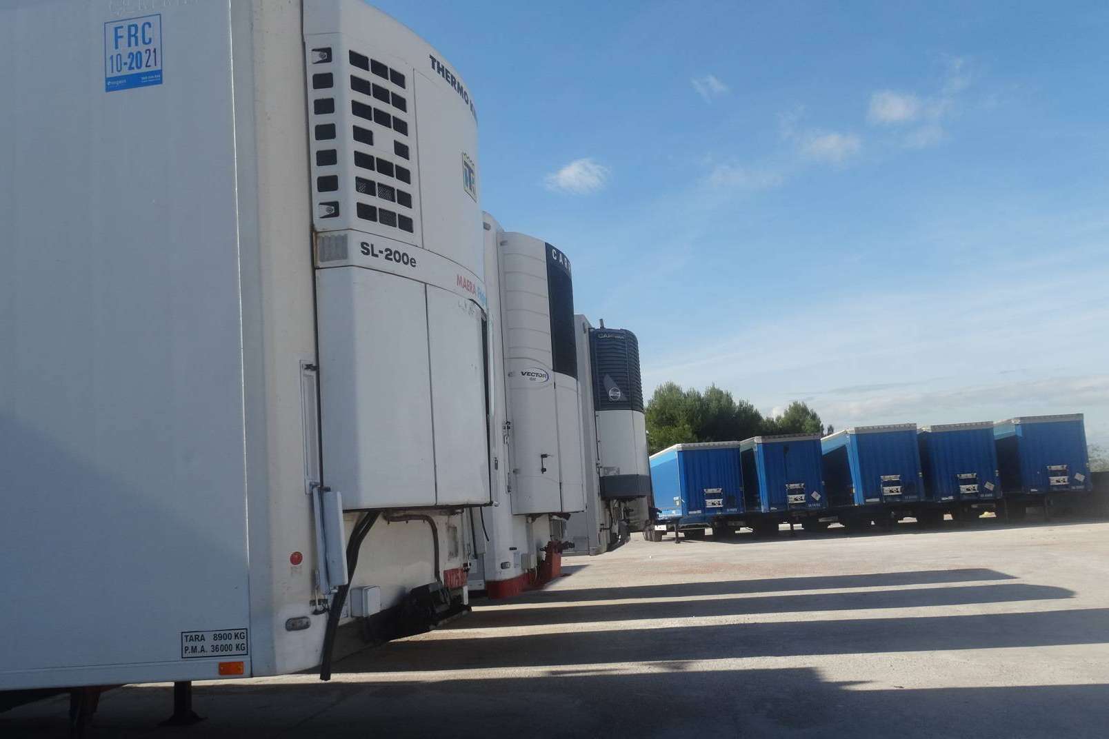 Alicotrans se posiciona como una cooperativa diferente