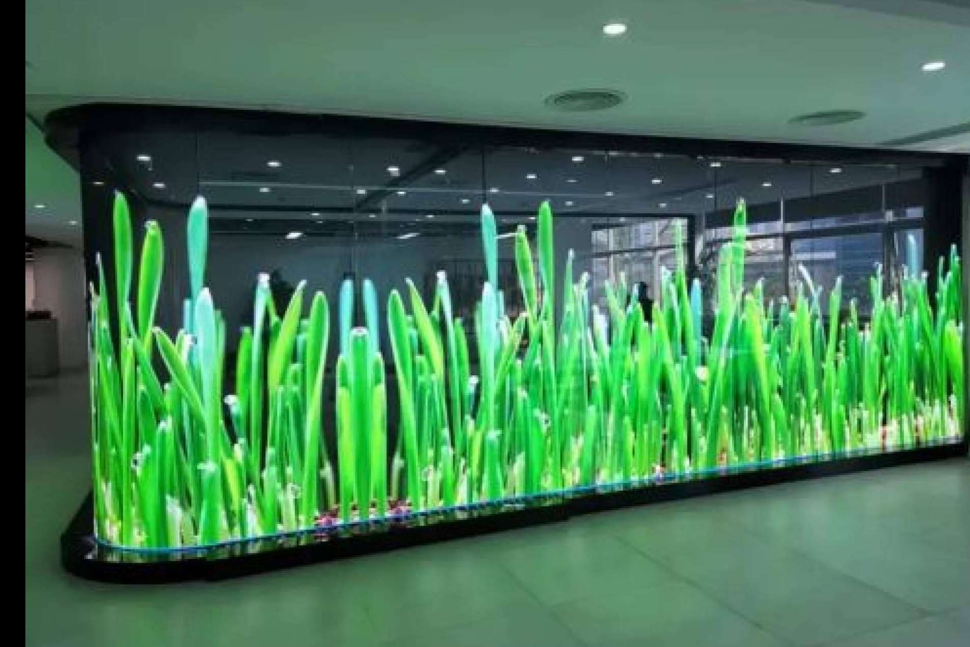 New Tech Store proporciona soluciones innovadoras para hologramas y señalización digital