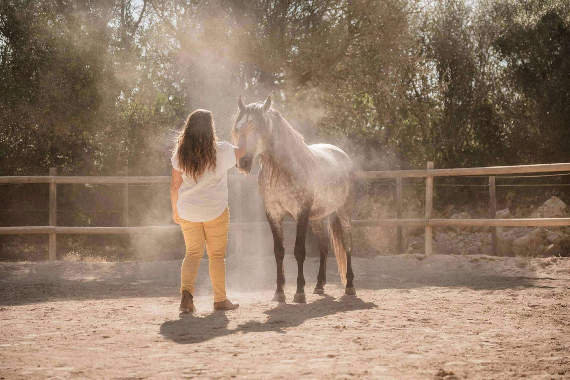 Son Cavalls ayuda a recuperar la autenticidad por medio del coaching individual asistido por caballos