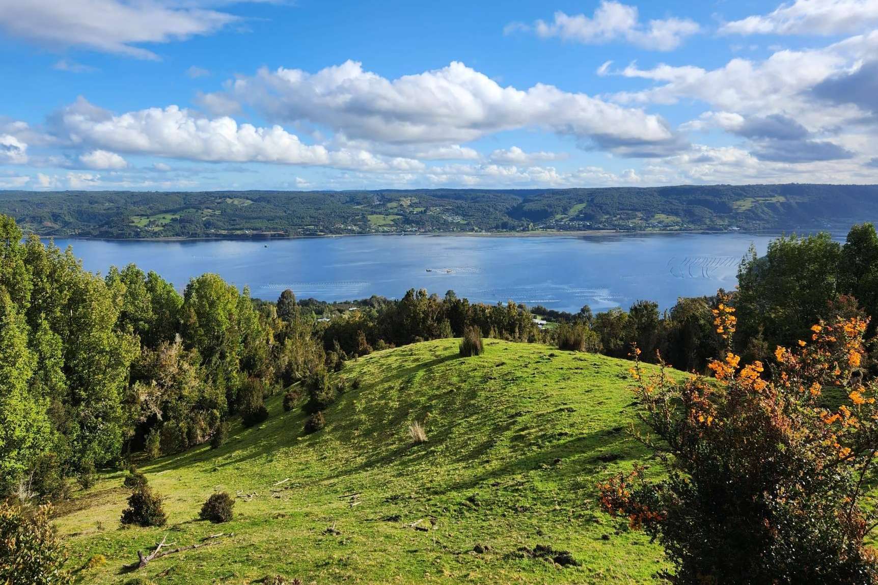 Latitudes Australes destaca la planificación y asesoría, la clave del éxito en la inversión de parcelas al sur de Chile