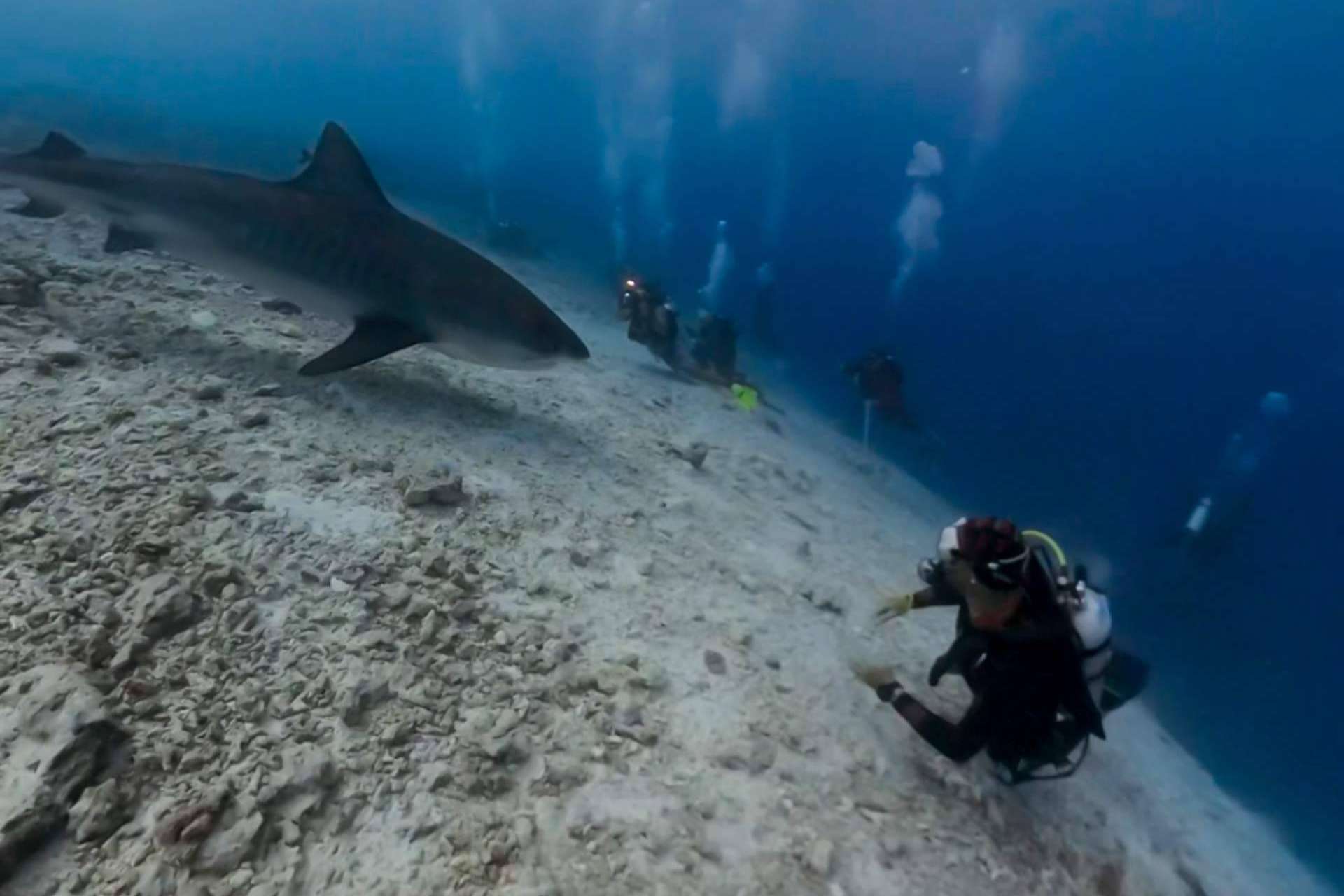 Drop Dive Maldives abre un nuevo centro de buceo en Fuvahmulah