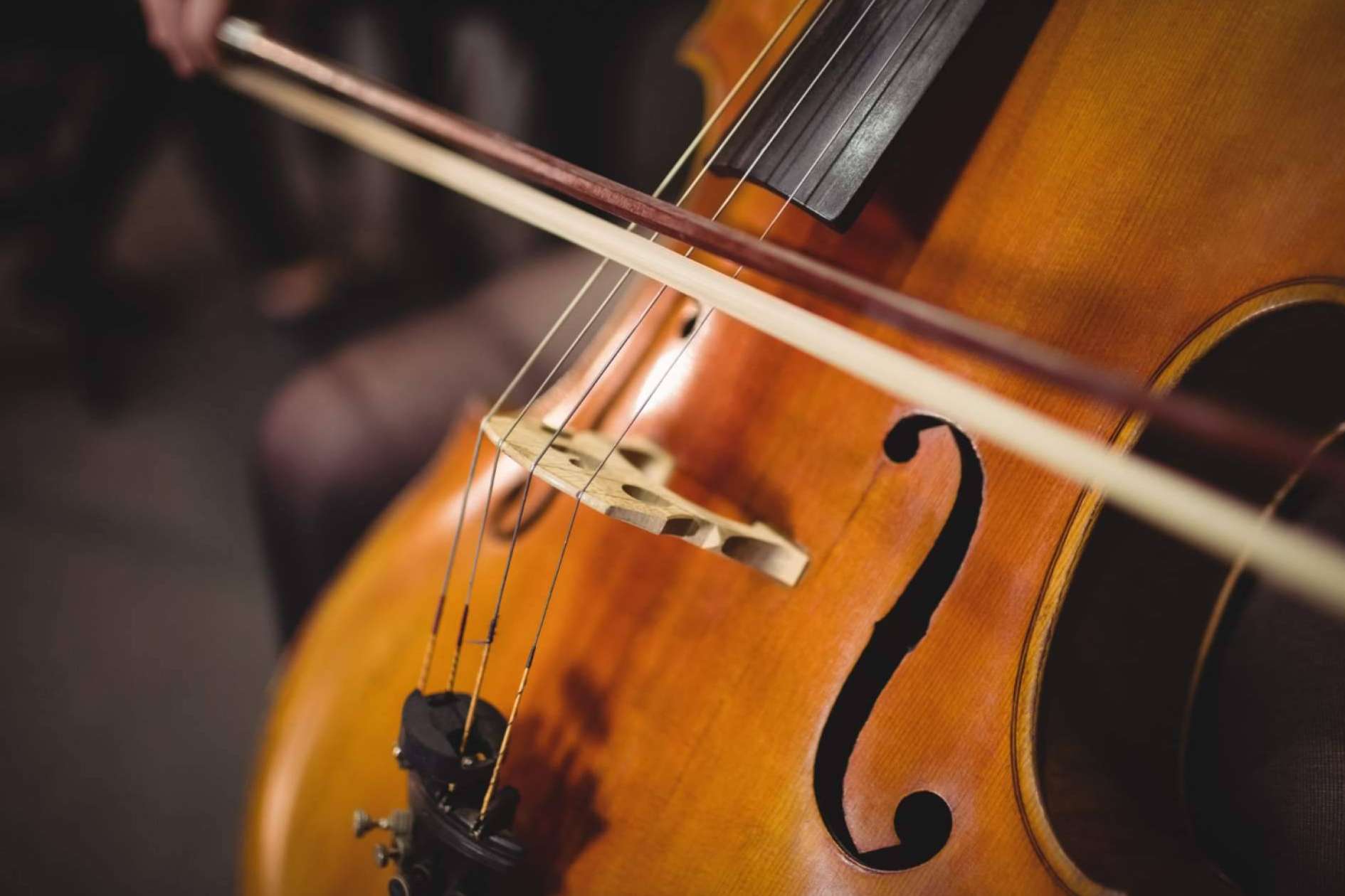 Schubertiades lanza su nueva plataforma especializada en música clásica