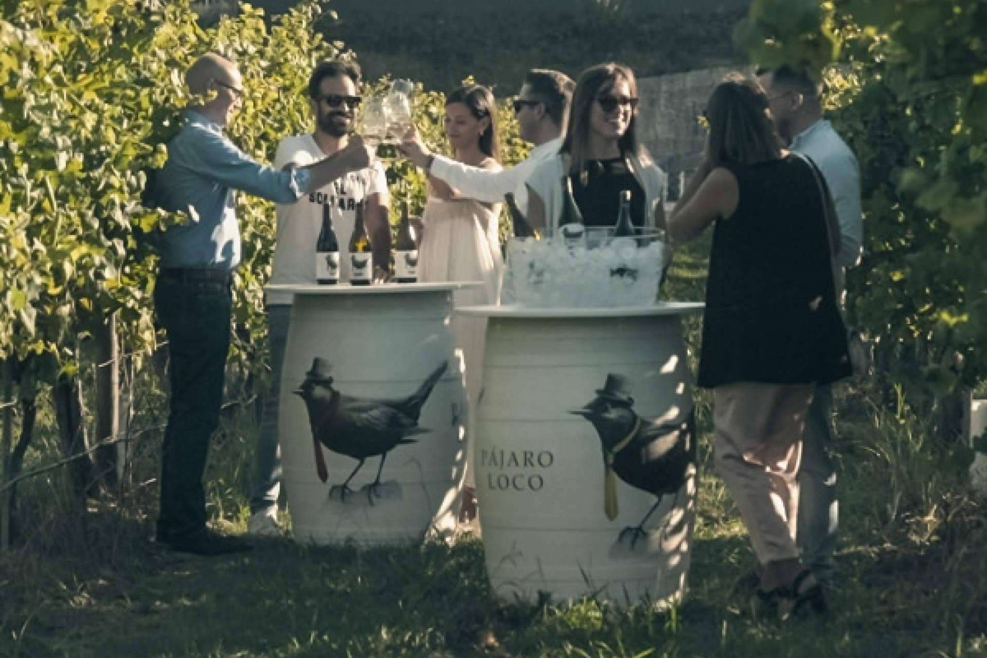 Privios, una marca vitivinícola exclusiva en la producción de vinos blancos y tintos