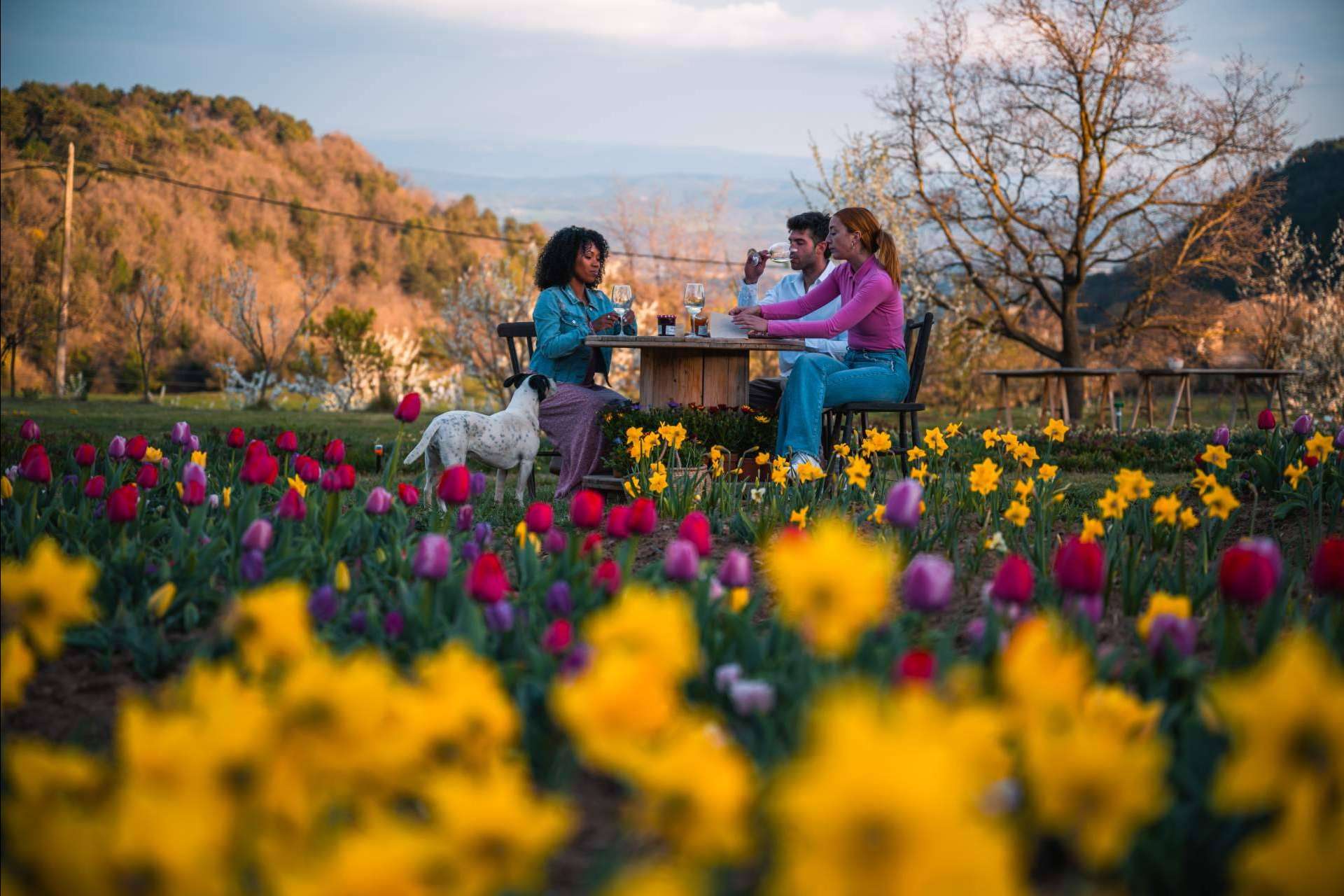 Niudàlia, un refugio para los amantes de la naturaleza y las flores