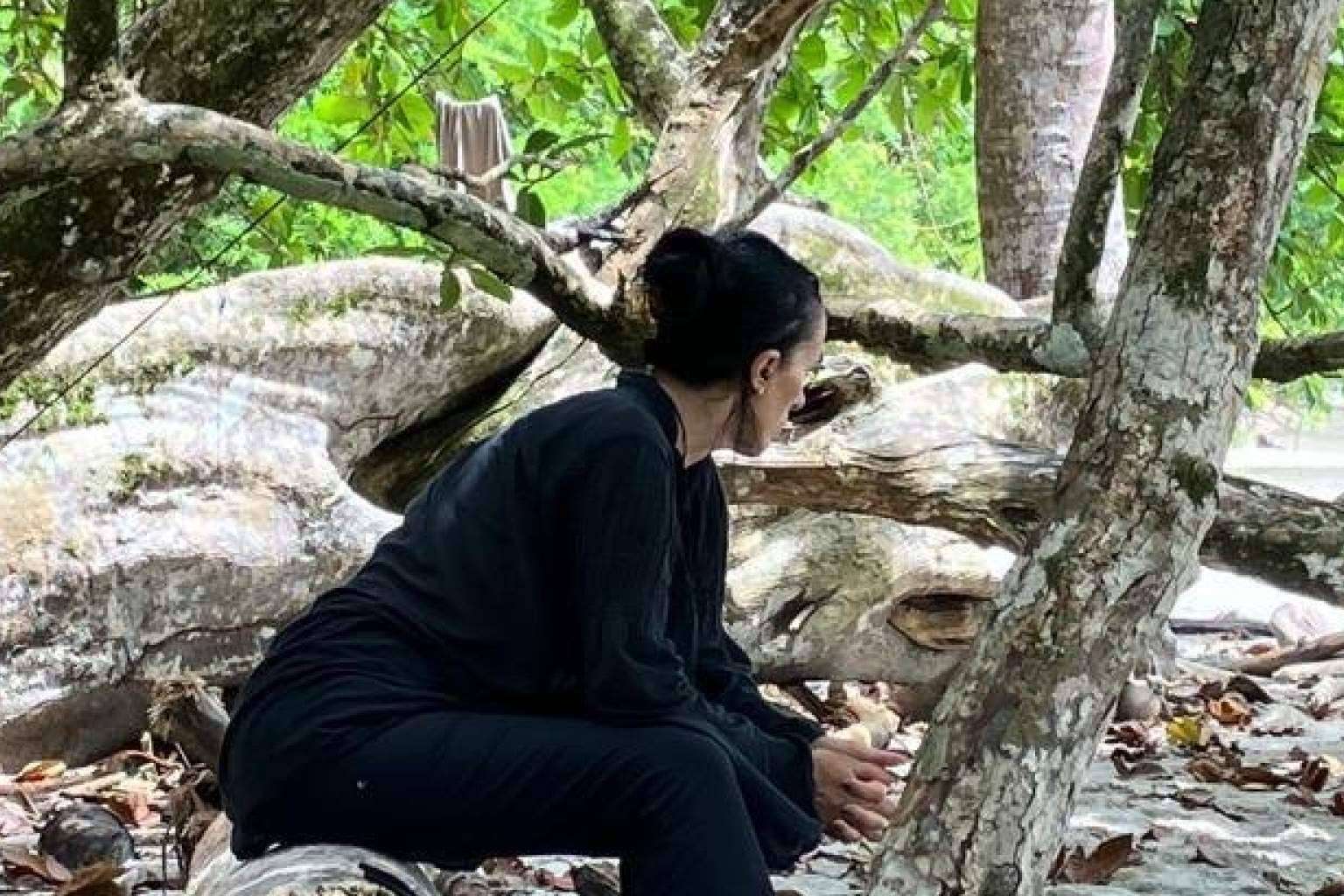 The Wellbeing Planet, estudios de bienestar y arte a través de la neuroestética