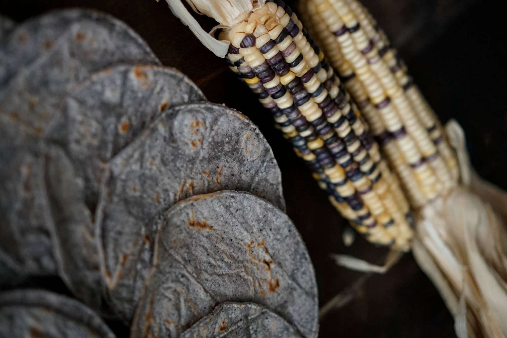 La revolución del maíz azul impulsada por Maíz Maya