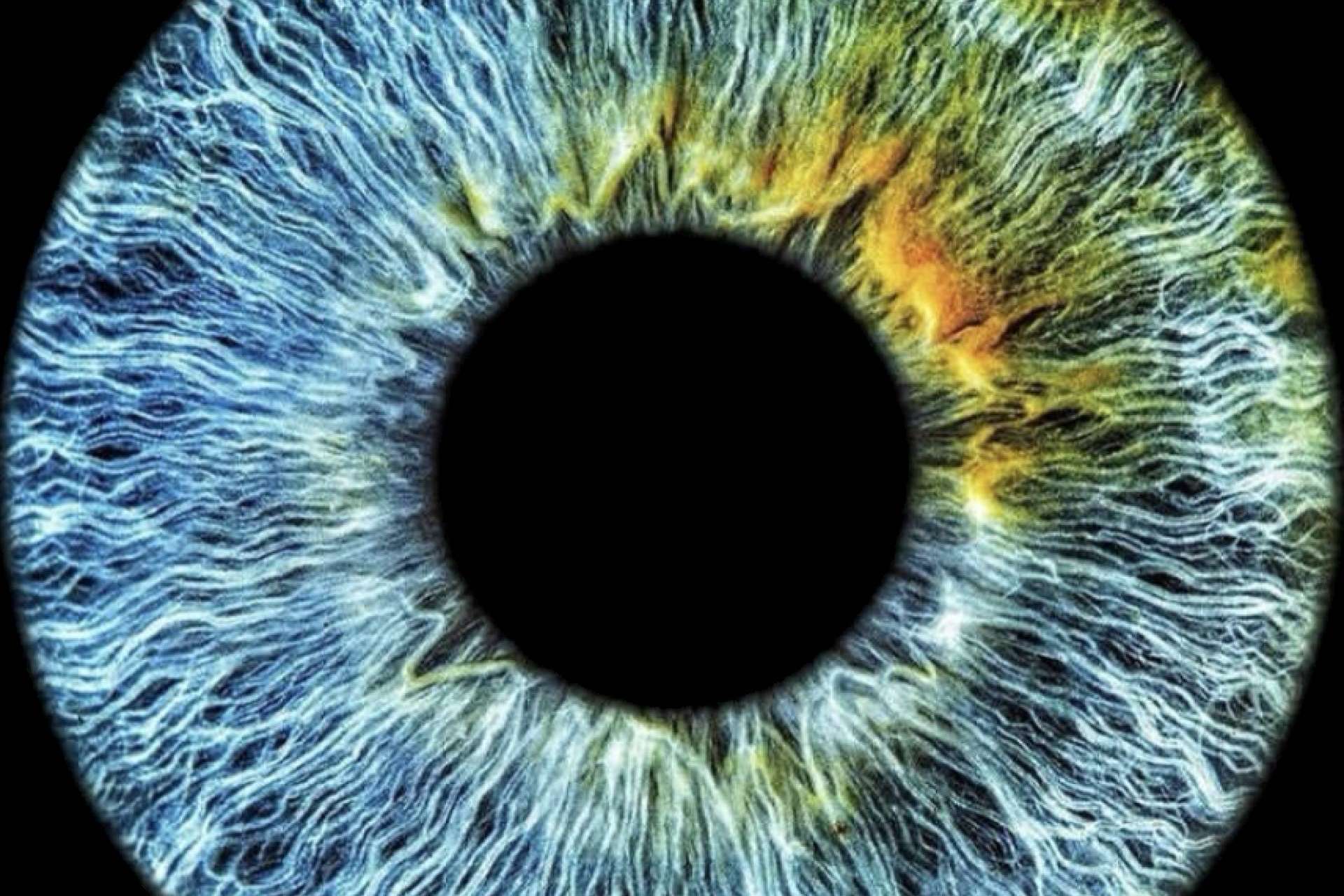 La genética y su influencia en el color de los ojos de la mano de EyeCos