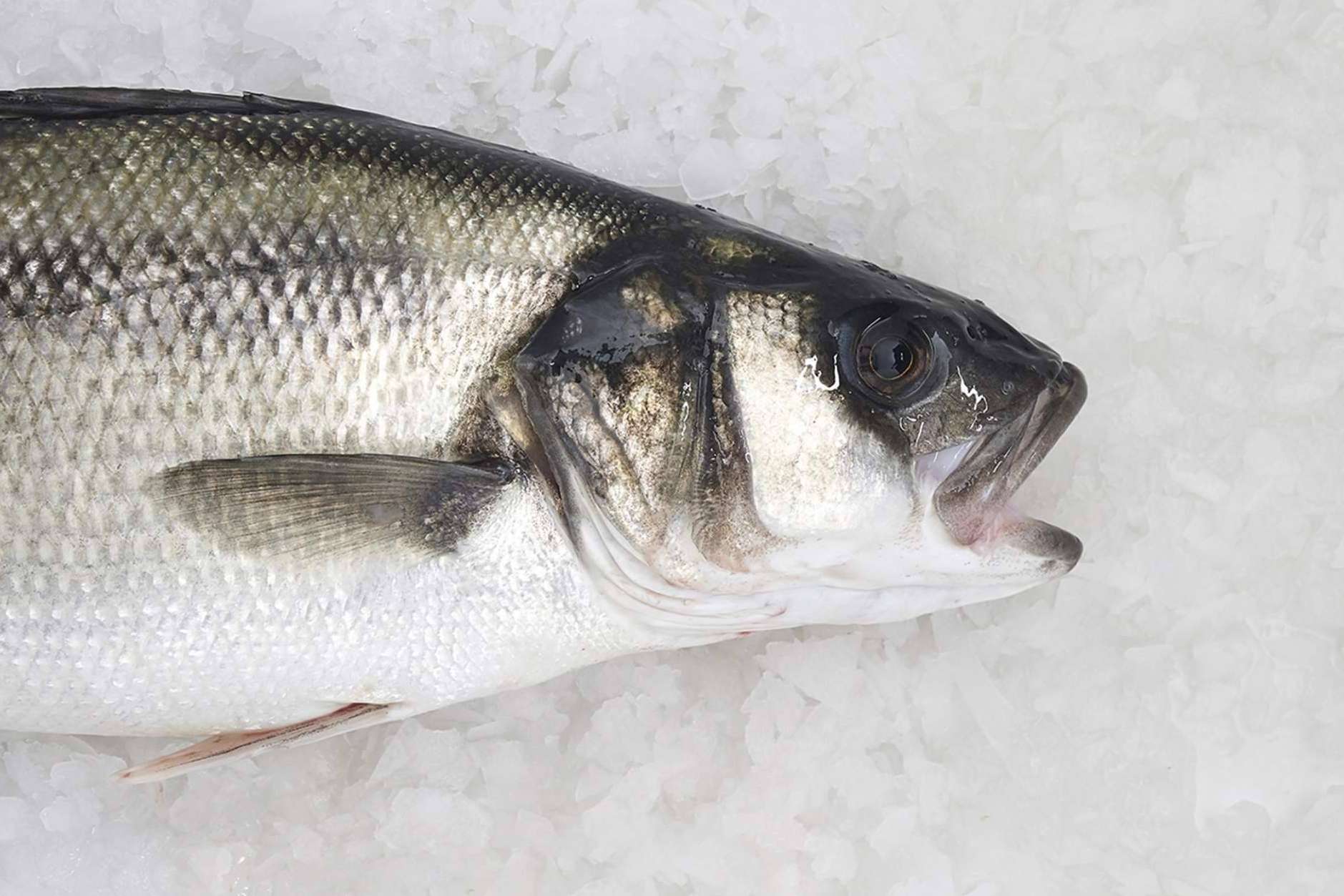 El pescado blanco, una de las mejores elecciones para volver a la rutina saludable tras las vacaciones