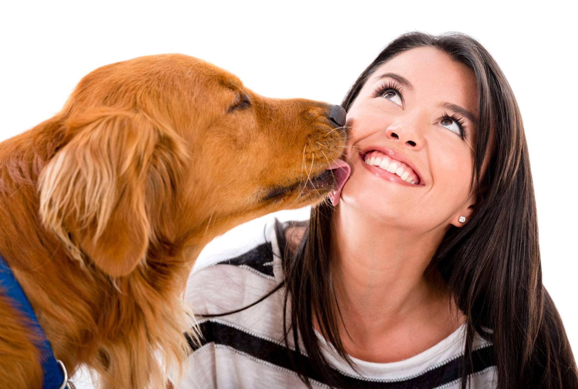 Alimentación especializada para mascotas con necesidades especiales
