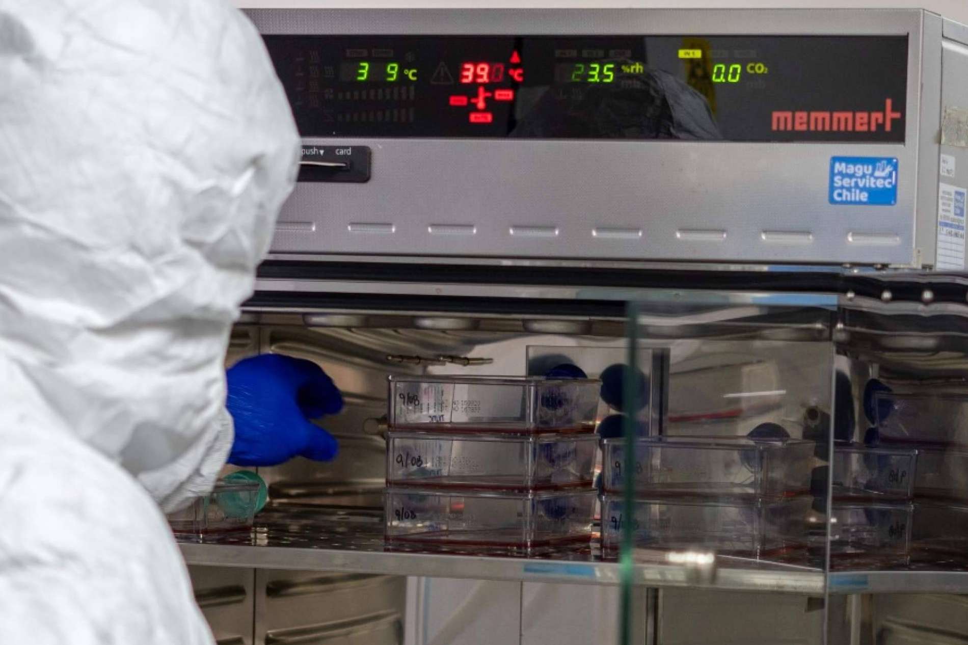 Inmunoterapia DEX y Oncovix, la nueva opción en el tratamiento del cáncer en etapa avanzada