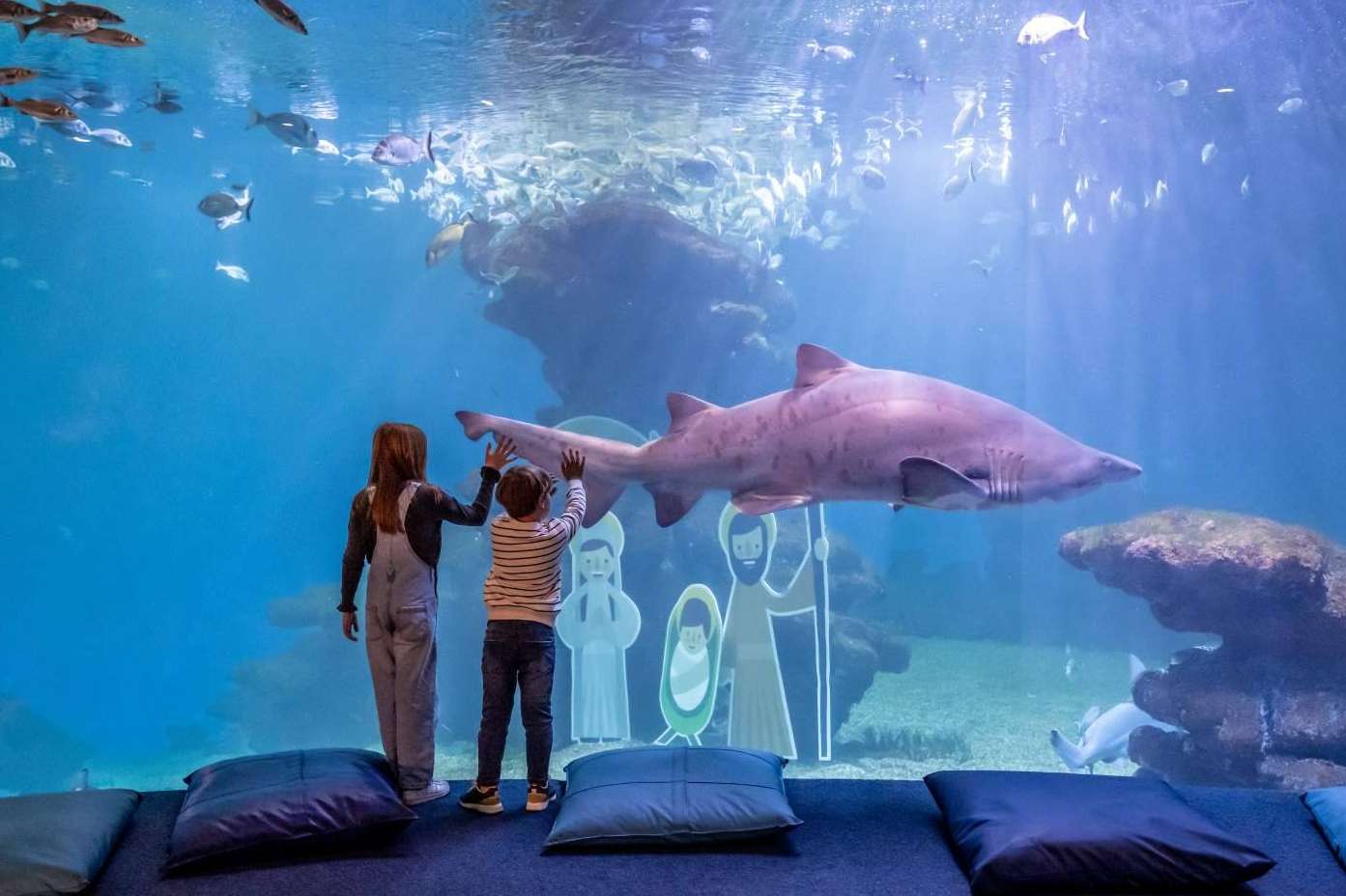La magia de la Navidad llega a Palma Aquarium