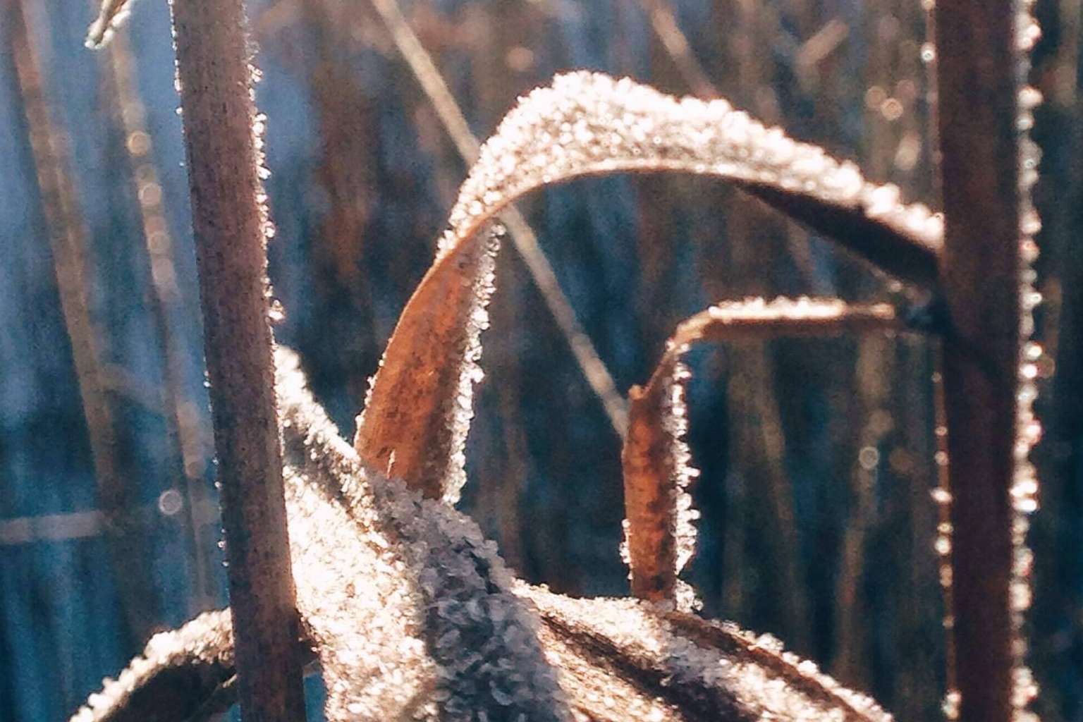 Sistemas de protección agrícola innovadores y sostenibles en Grupo SPAG