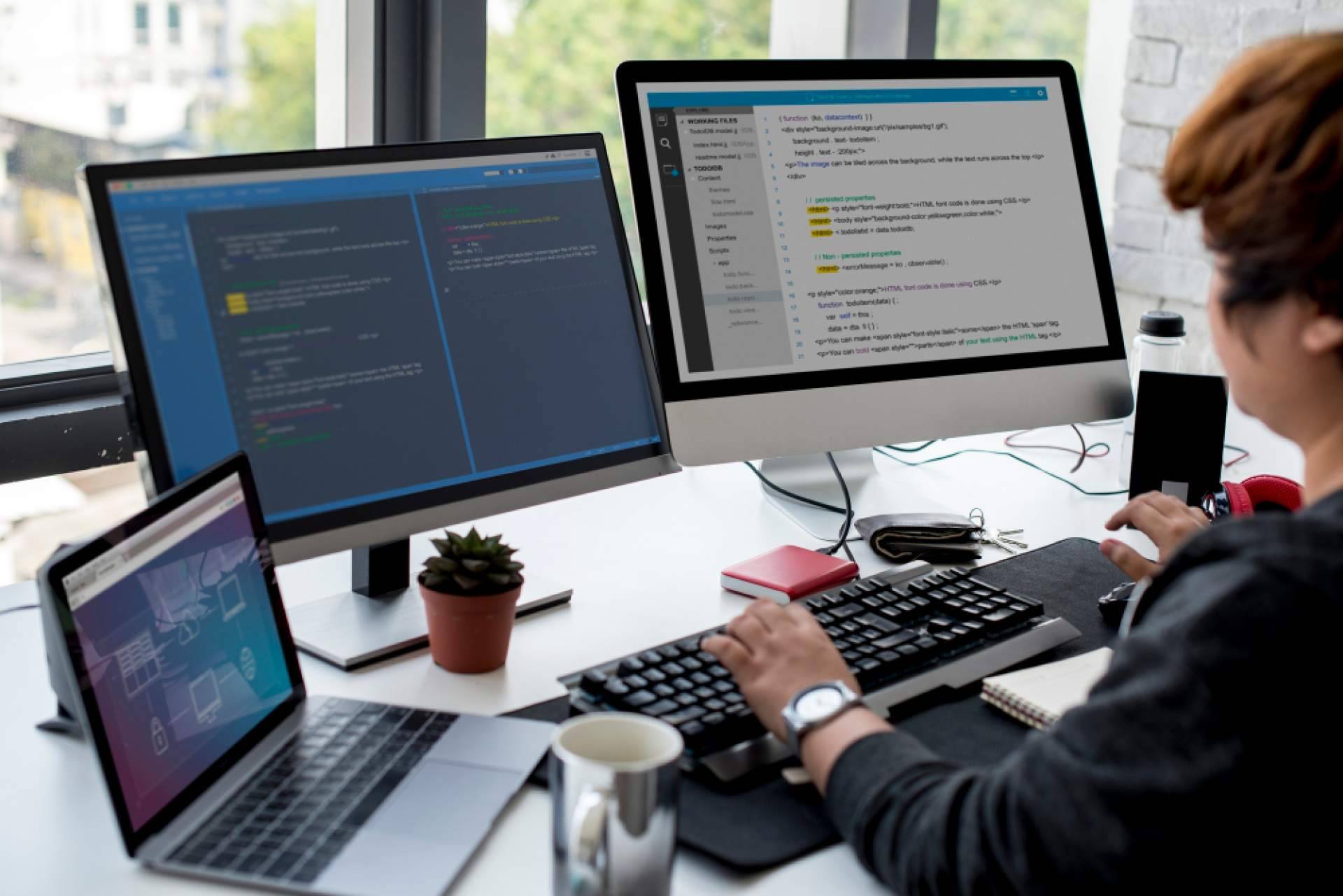 Aplicaciones estándar o software a medida, qué opción se adapta mejor a cada empresa