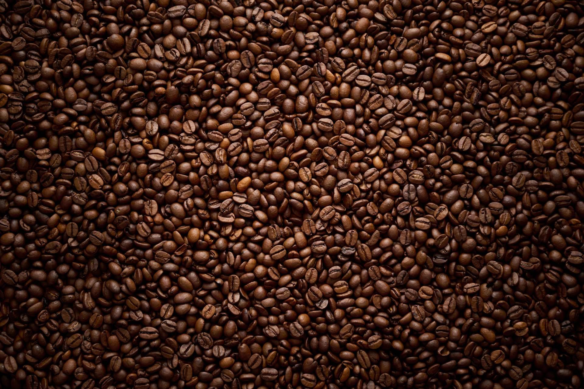 Fresh OCS impulsa el café de especialidad para empresas con soluciones premium en oficinas y espacios exclusivos