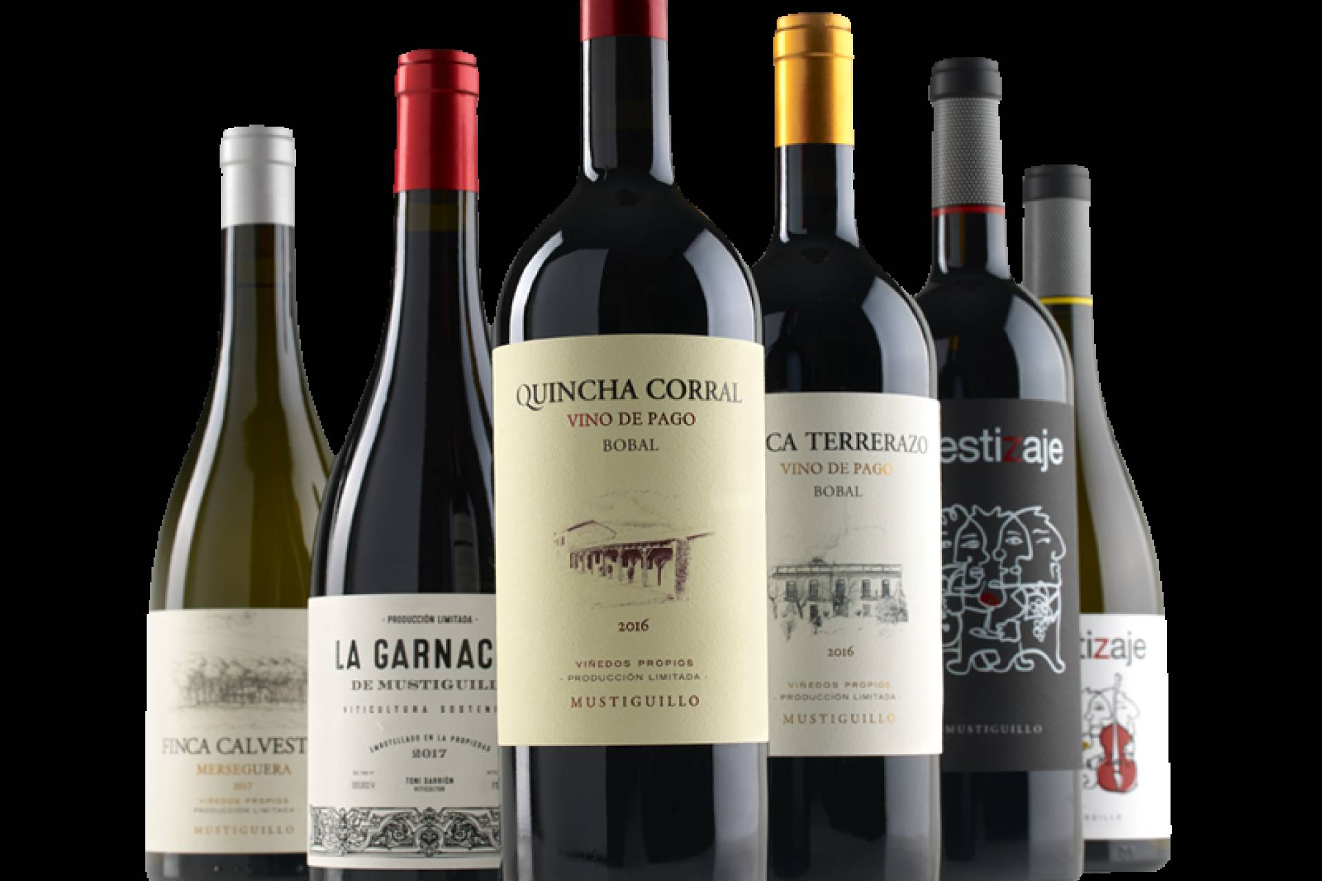 La distribución de vinos premium gana fuerza con la propuesta de Profesionales Casa del Vino