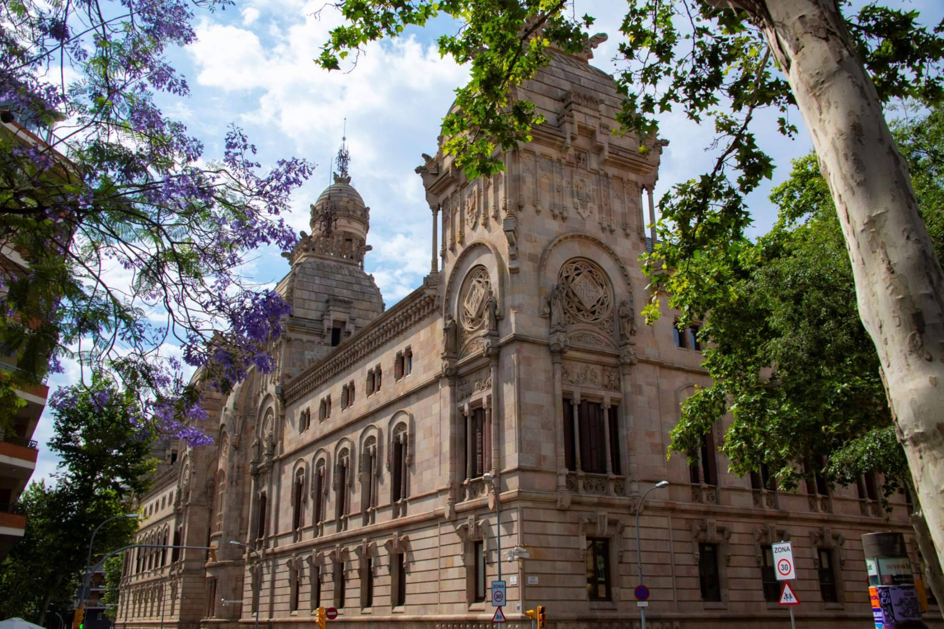 El Tribunal avala la legalidad del modelo de HALLON para gestionar derechos de autor según la LPI