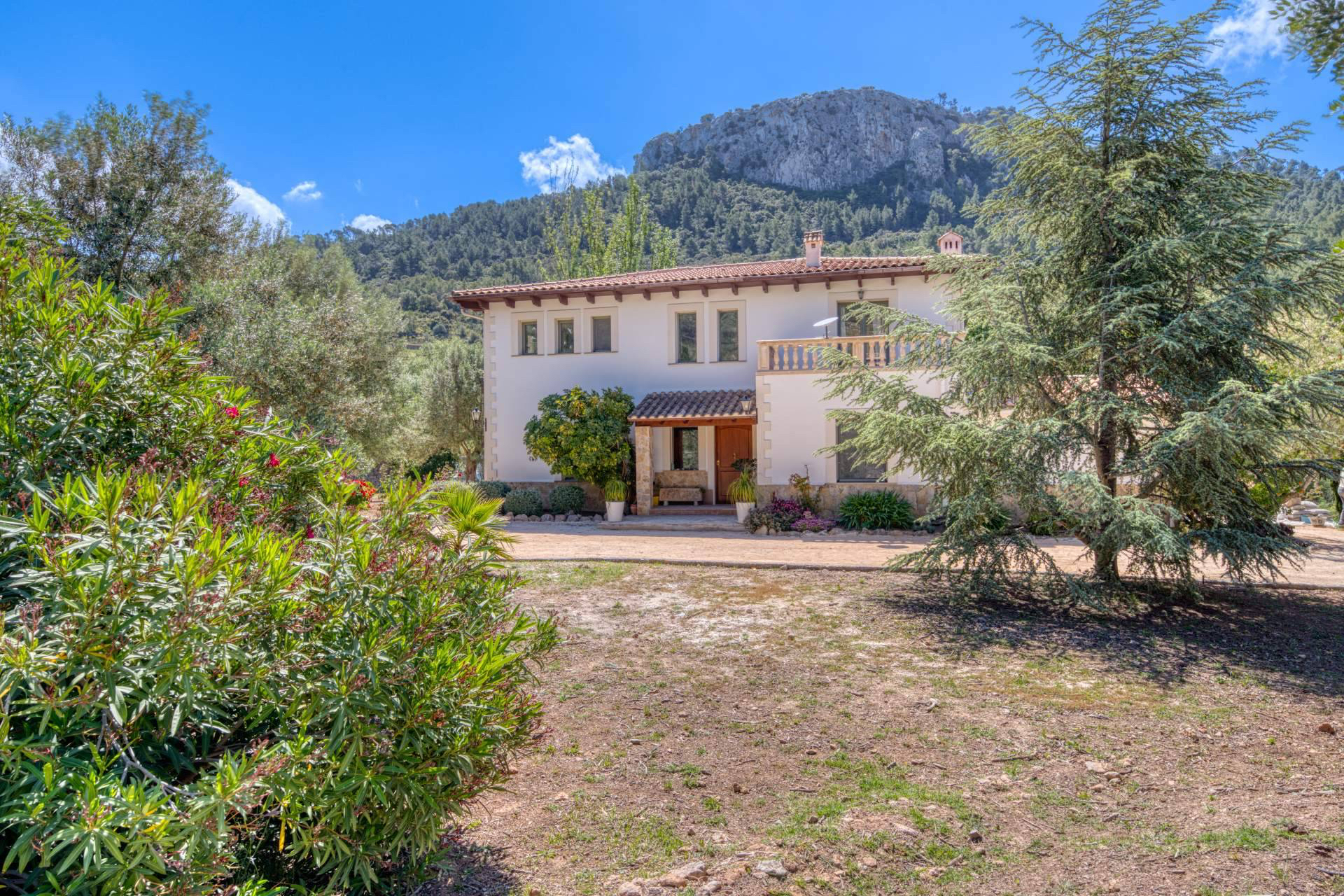 Lovian Properties ofrece una experiencia inmobiliaria exclusiva en Santa Ponsa, Mallorca