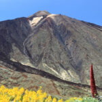 Descubrir Tenerife, sentir sus emociones y el ritmo del Tenerife Peñón Fest