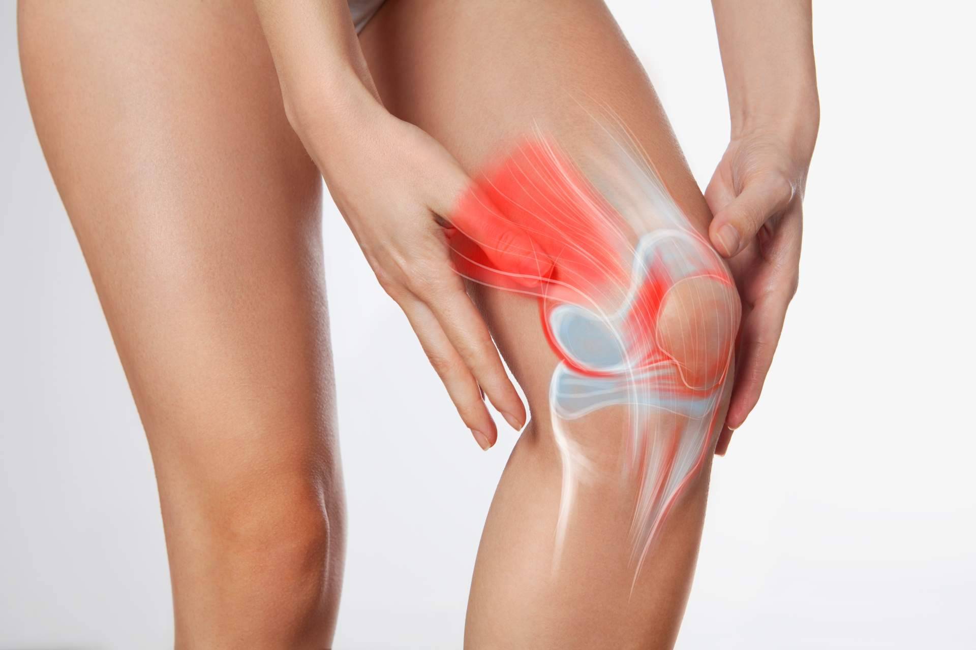 Tododol de Bioserum; una alternativa natural para el bienestar muscular y articular