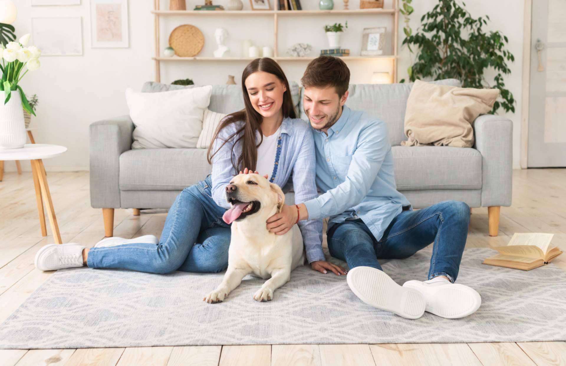 Terapia de pareja en primavera; una nueva etapa para fortalecer el vínculo