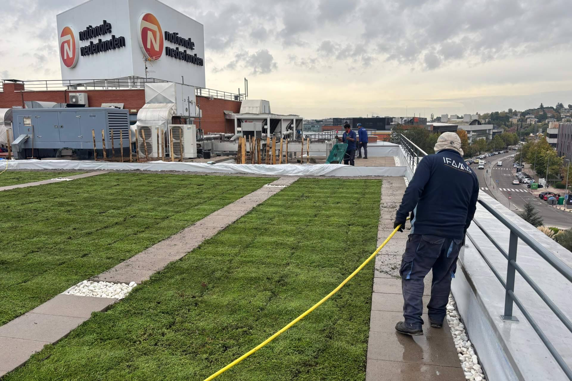 Las cubiertas ajardinadas en edificios ganan protagonismo como solución sostenible en entornos urbanos