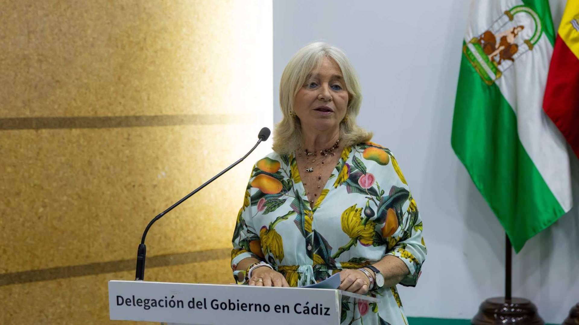 Acuerdo de análisis en Cádiz, El Consejo General API, el Senado y la Junta de Andalucía examinan a fondo