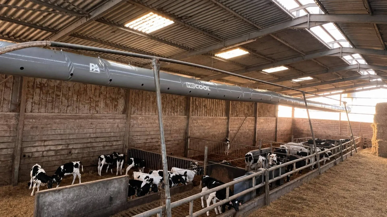 HI!COOL reduce hasta 17 °C la temperatura en una explotación ganadera y evita pérdidas de productividad